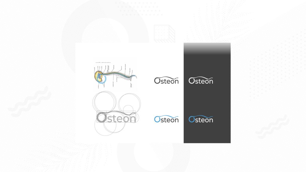 Osteon – life in motion